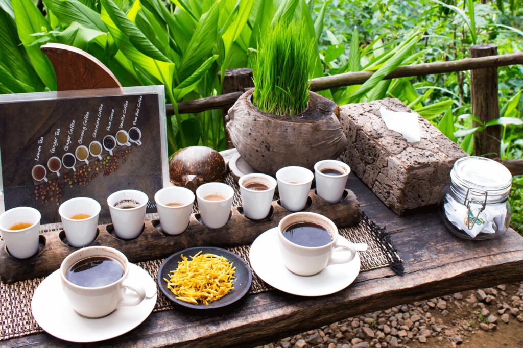 Luwak Coffee Plantation at Bali Pulina Agrotuourism ubud
