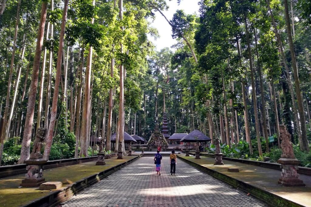 The Ubud Monkey Forest Temple