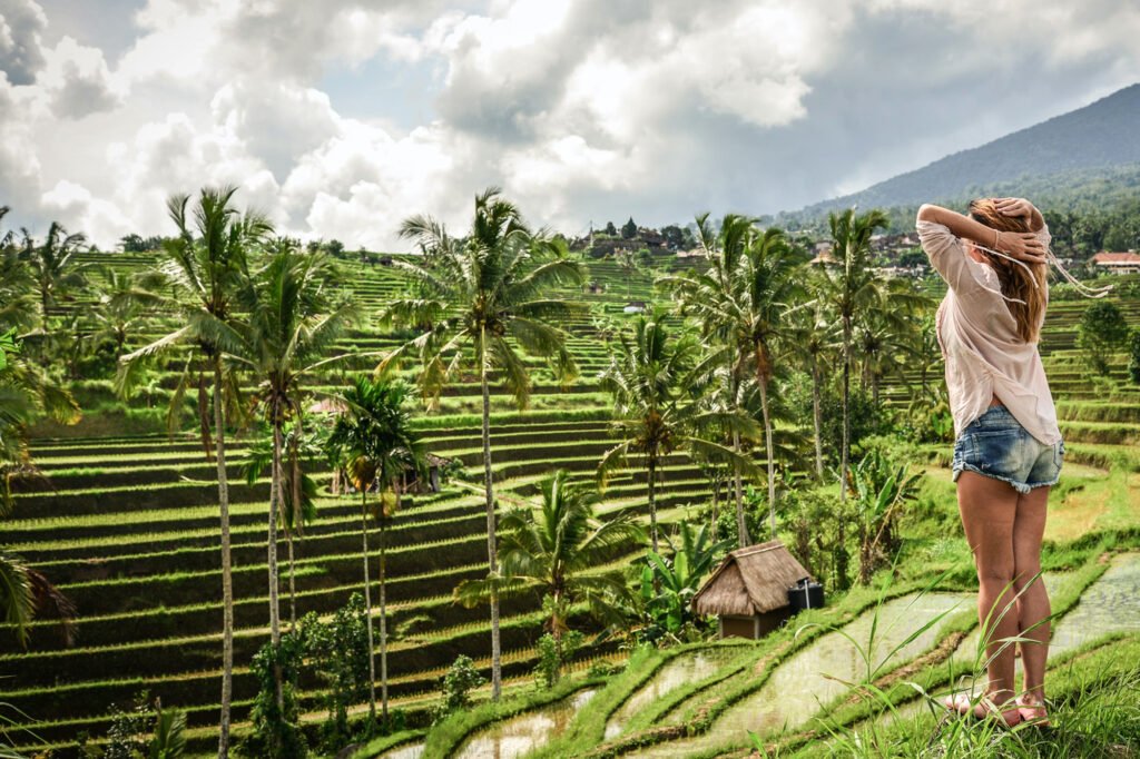 The View of Tegalalang Rice Terrace